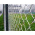 Chain Link Fence Galvanzied/PVC Coated (real factory) Is on Hot Sale